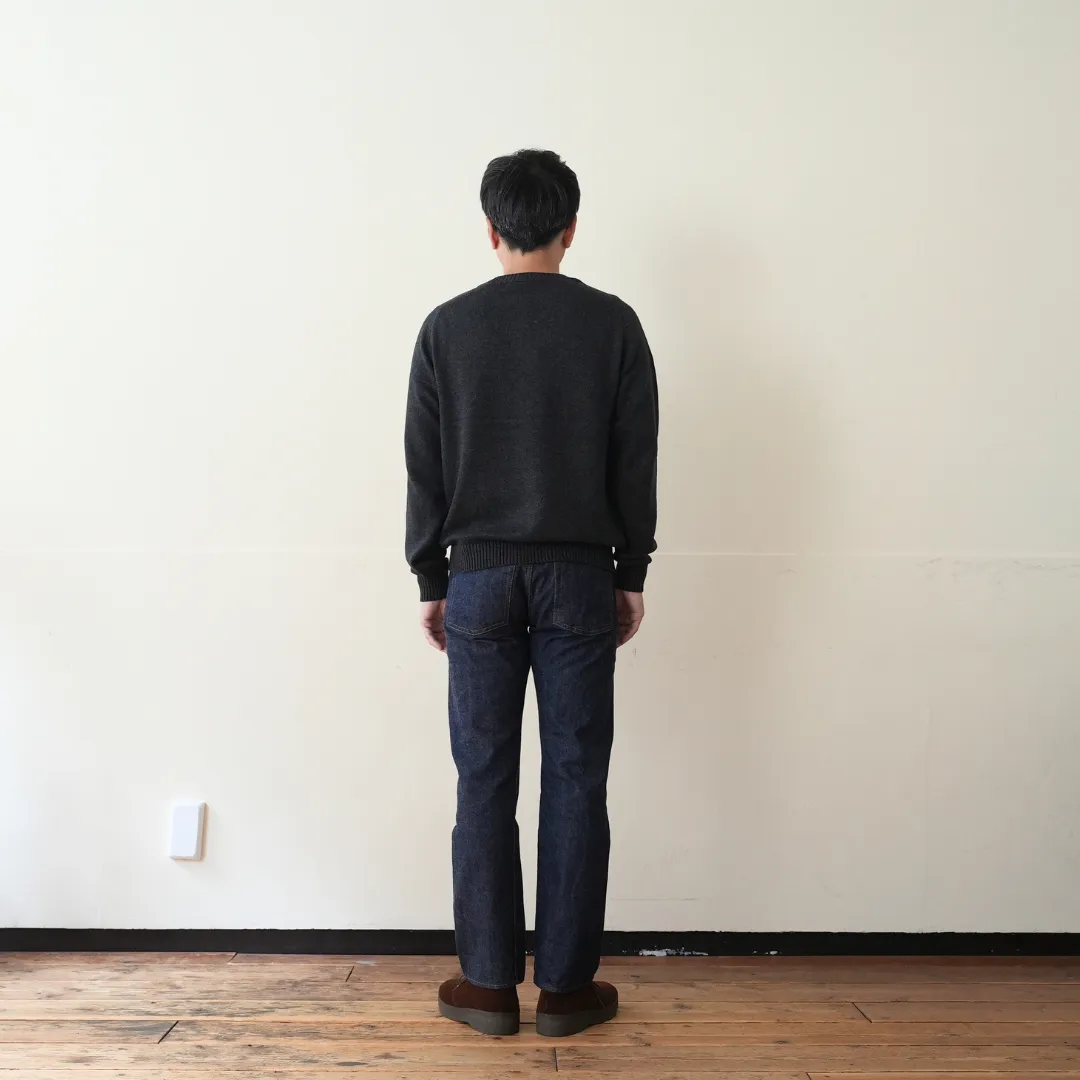 Cotton Wool Mid-gauge Henry neck 着用 BACK 全身
