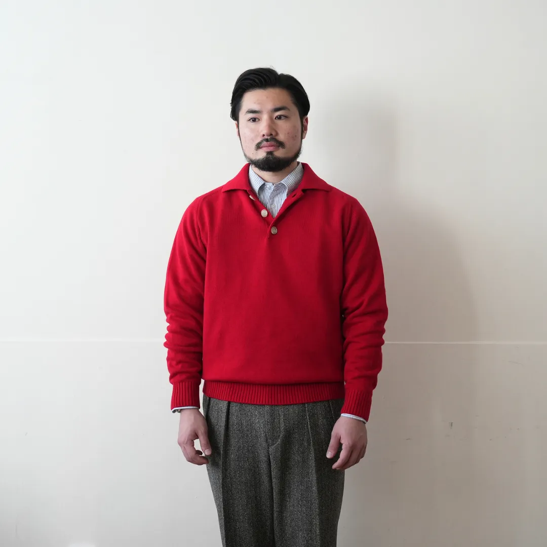 Cotton Wool Mid-gauge Polo 着用 FRONT 上半身