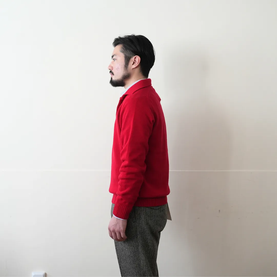 Cotton Wool Mid-gauge Polo 着用 SIDE 上半身