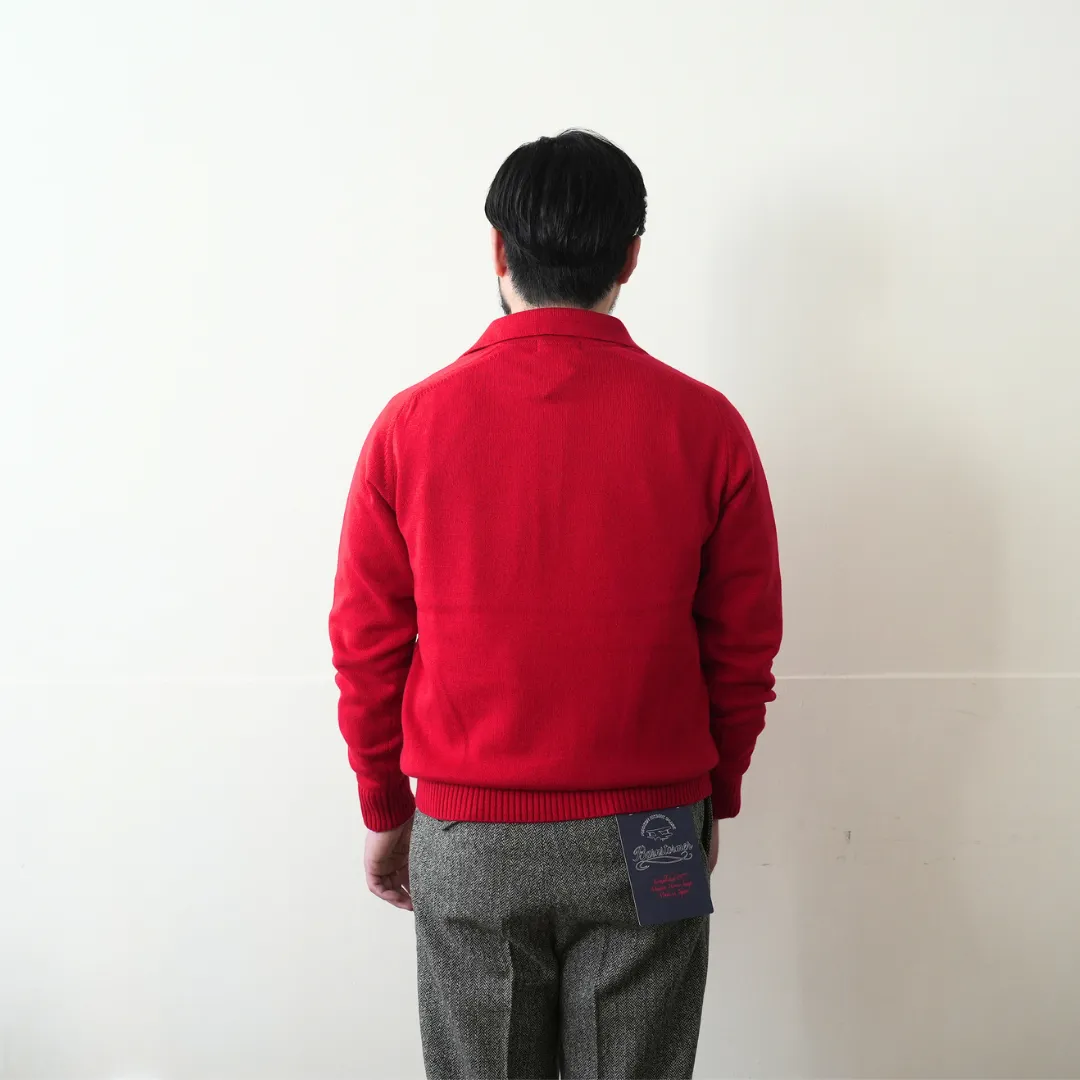 Cotton Wool Mid-gauge Polo 着用 BACK 上半身